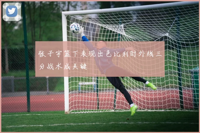 张子宇篮下表现出色比利时外线三分战术成关键